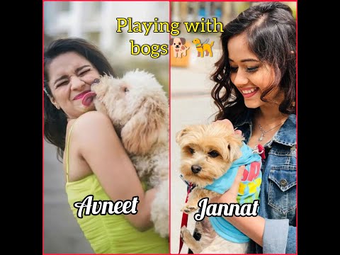 Jannat Zubair New Dog 🐶🐶| Org Animal