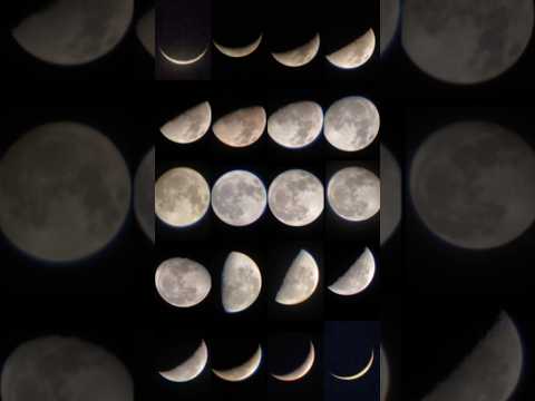 Fase-Fase Bulan (Supermoon) 🌘🌗🌕🌓🌒 #moon #supermoon