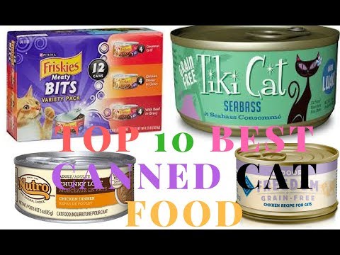 Top 10 best canned cat food