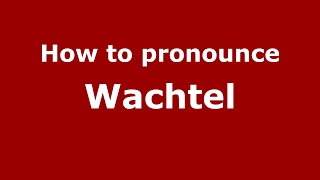 How to pronounce Wachtel