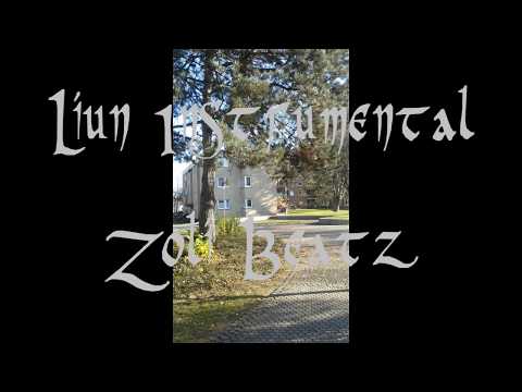 41. Liun Instrumental / Zoli Beatz - Beat/Loop Nr. 124