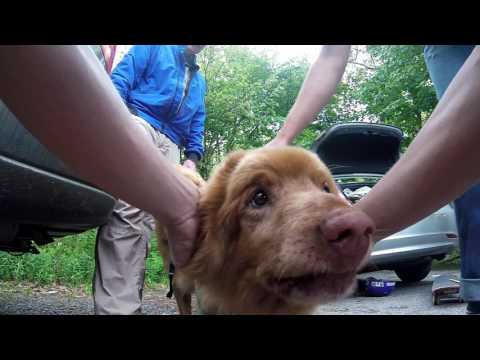 Amish DH All-Star Party Weekend