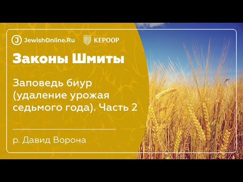 Законы шмиты. Урок 19. Заповедь биур (удаление урожая седьмого года)