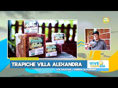 VIVE UN NUEVO DÍA – INVITADO - PEDRO LÓPEZ   TRAPICHE VILLA ALEXANDRA VÍA SALAZAR / VEREDA PURÍSIMA