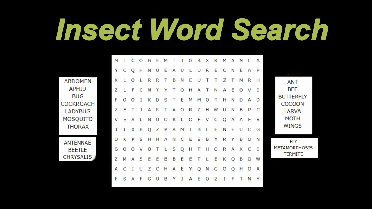insect word search game in English
