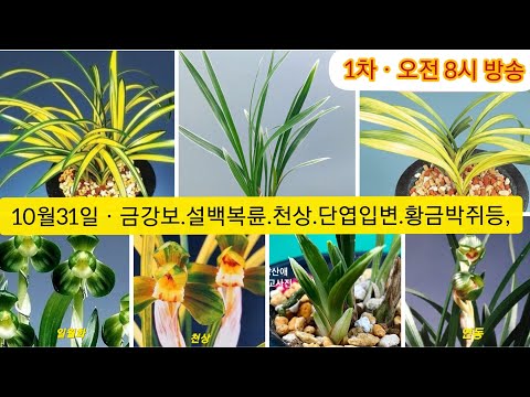 유튜브 썸네일