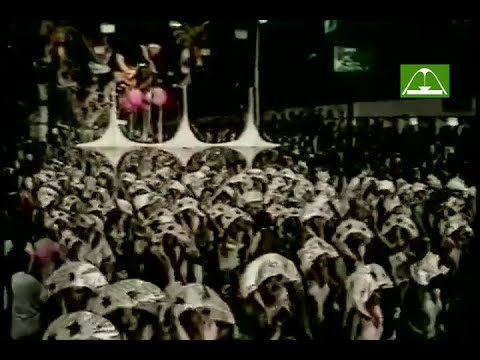 Mangueira 1981 (Globo)