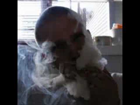 Tjalfe H - New Song By Tjalfe H