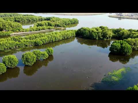 Drone Shots | Lake Aerial view