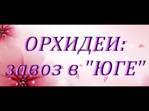 ЗАВОЗ ОРХИДЕЙ в "ЮГЕ",г.Самара,09.02.2019.