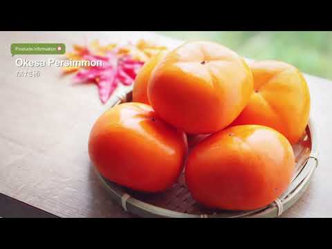 Sado Port excursion No.3