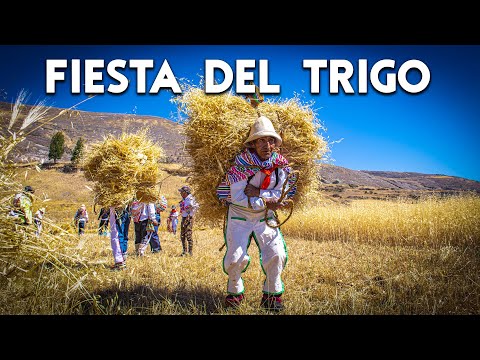 In this town, an ancestral custom is still preserved | Harvest Festival, HUARIPAMA | DOCUMENTARY