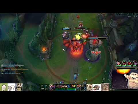 duoking1 │ Alistar vs Leona │ 17 Oct 2024