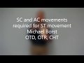 SC and AC joint movements required for scapular movement