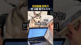 유튜브 썸네일