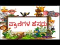 Learn Animals name in Kannada with pictures Animals/Pranigala hesaru|Learn Kannada/