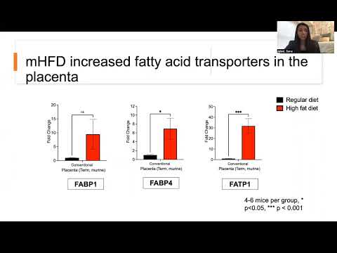 <p>Maternal High Fat Diet Exposure Increases Expression of Fatty Acid Transport Regulators in the Placenta and is Dependent on the Maternal Microbiome.</p>