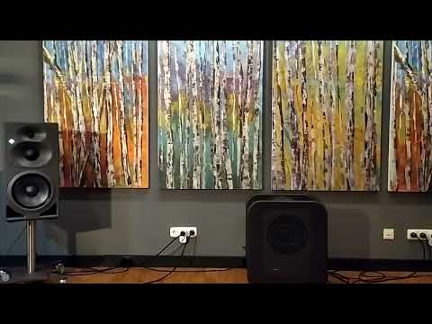 Neumann 420 - Radiohead - 2+2=5