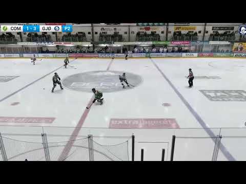 Linus Rosdahl til Ringerike Panthers sesongen 2021/22