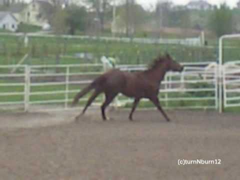 Duster having fun! 04-26-09