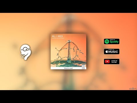 eedion & FluxFlame - All I Need (Extended Mix)