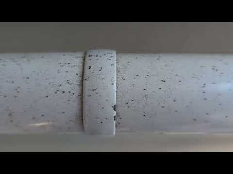 Bird Mites Crawling All Over the Railing in Freehold, NJ