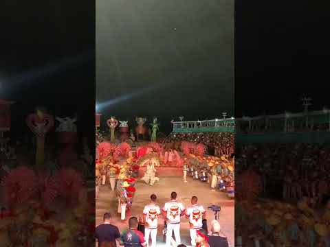 BOI CORAJOSO BENJAMIN CONSTANT AMAZONAS #benjaminconstant #festivaldeparintins