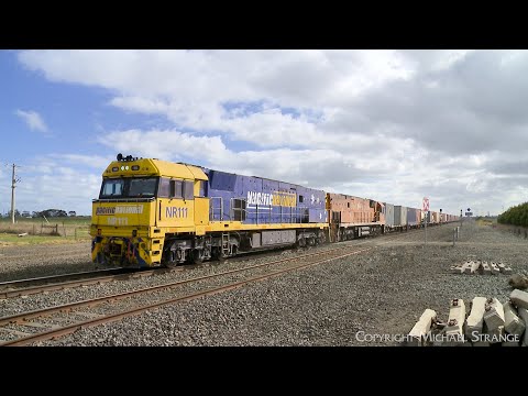 4PM4 Pacific National Steel Train With NR111 & NR31 At Gheringhap Loop (15/9/2024) - PoathTV