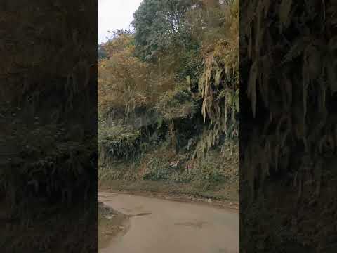 Gangtok #gangtok  #gangtoktourism #sikkim #travel #tourist #tourism #travelblogger