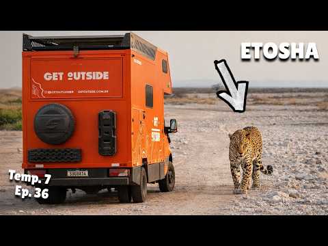 Passamos 96 HORAS entre animais selvagens com nosso motorhome