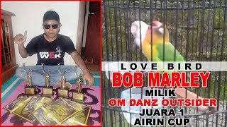 Download lagu DAHSYATTT INI DIA LOVEBIRD BOB MARLEY MILIK OM DANZ OUTSIDER JUARA 1 AIRIN CUP mp3 Download lagu DAHSYATTT INI DIA LOVEBIRD BOB MARLEY MILIK OM DANZ OUTSIDER JUARA 1 AIRIN CUP mp3