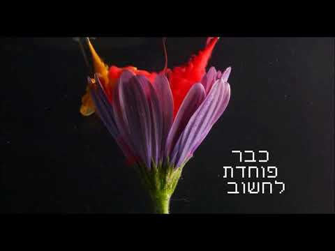 הימים שלנו - היהודים - Remix ביצוע גלעד בן זקן