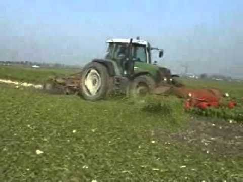 Goemaere (Polien): Bieten rooien.