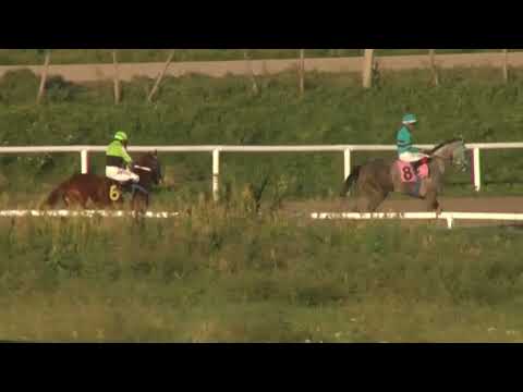 HIPODROMO SINT COLONIA 220331 c09 1° HURAÑO