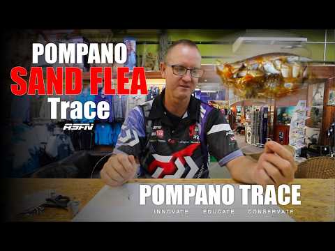 Pompano Sealice Trace | ASFN Baits & Traces