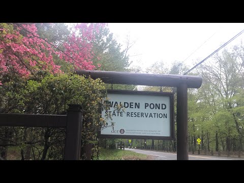 Henry David Thoreau | Walden Pond #WaldenPond #HenryDavidThoreau