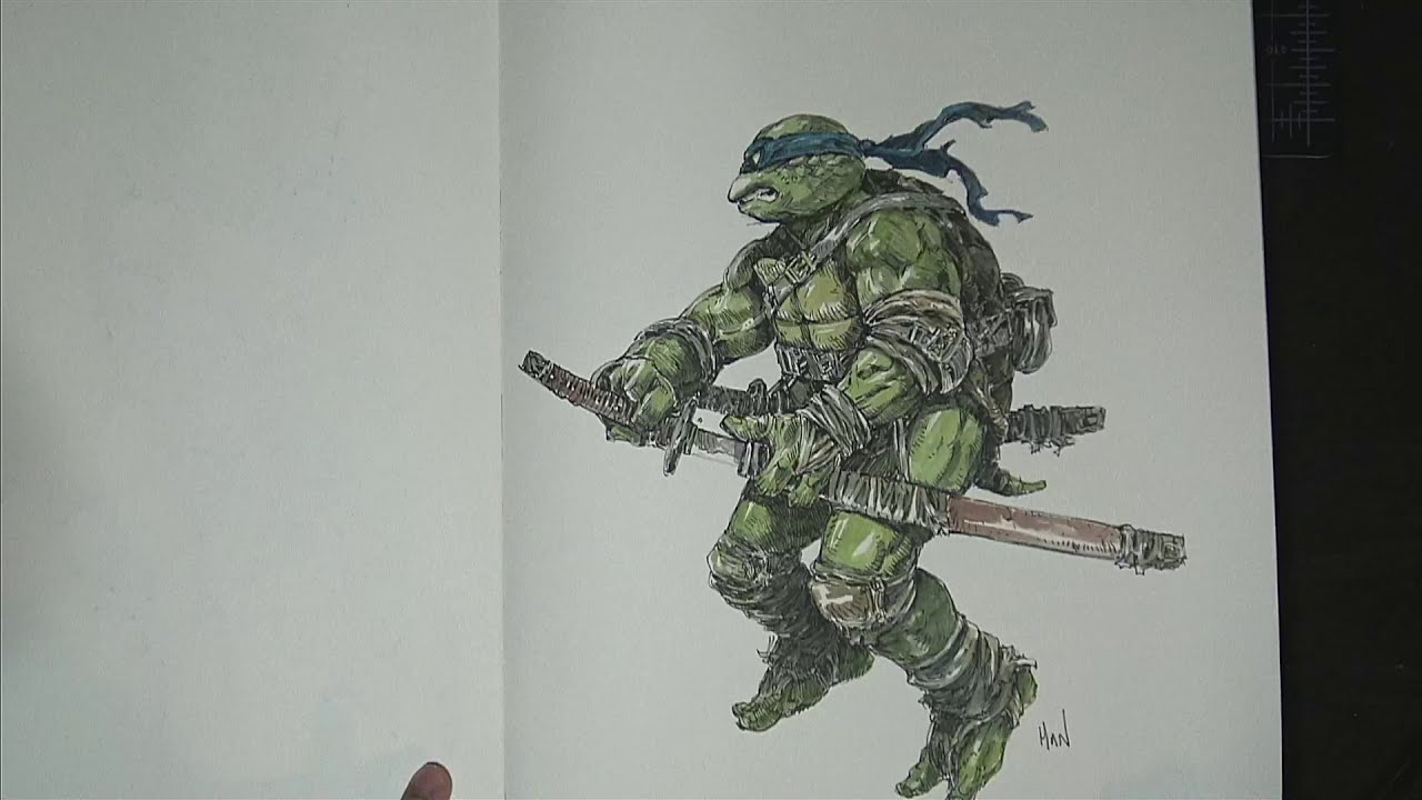 drawing ninja turtle by peter han