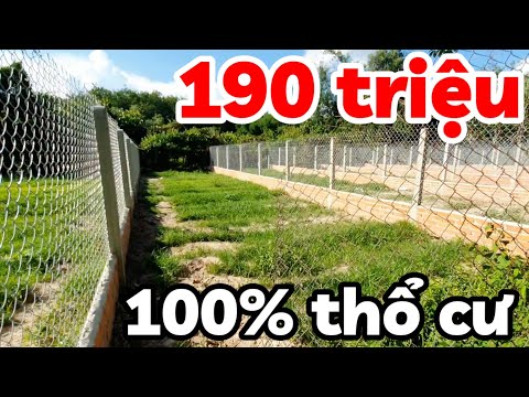 Bán 8 lô đất 5x19 full thổ cư giá rẻ 190 triệu kế đường nhựa cách trường học 700m Long Chữ Tây Ninh