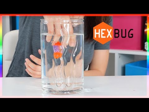HEXBUG Aquabot Wahoo with bowl