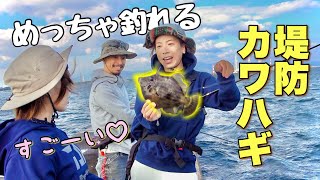 堤防際の高級魚！デカいカワハギを狙います✨