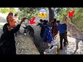 A Tragic Accident For Poor Donkeys
