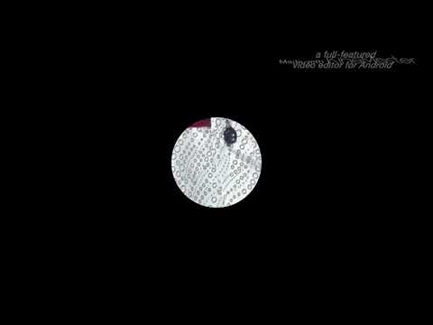 Lalli the new kalakaar