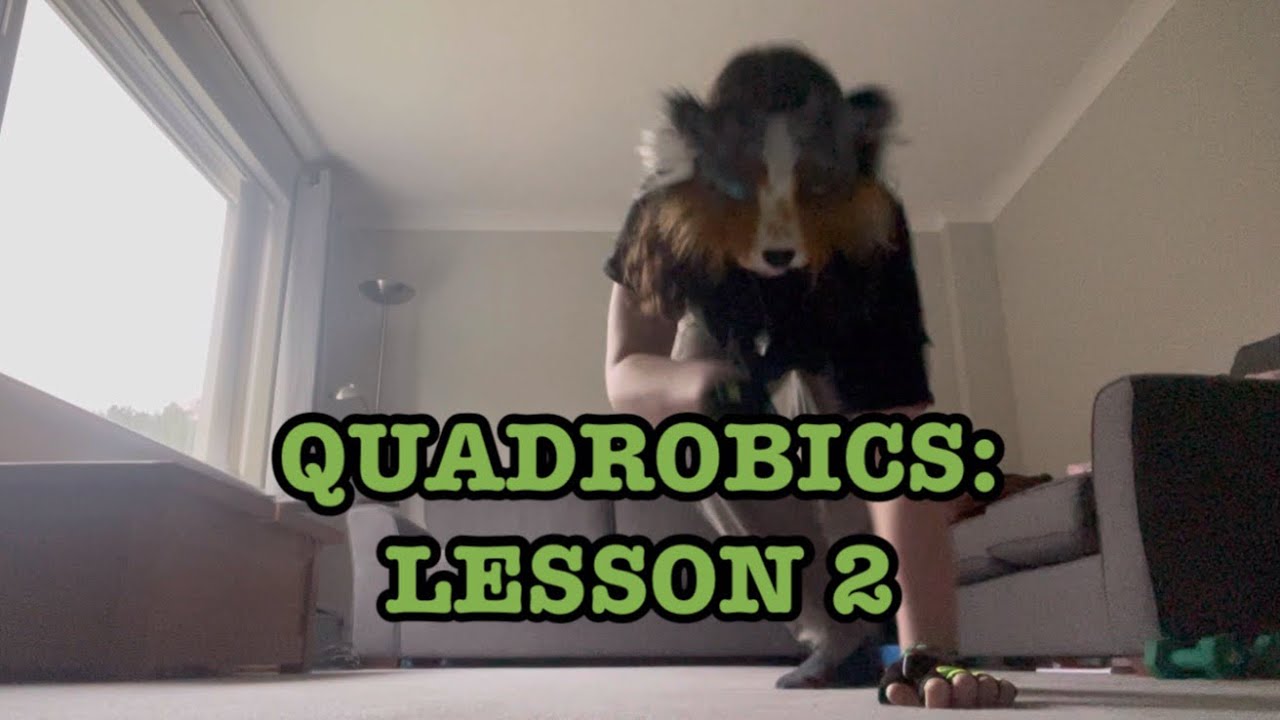 QUADROBICS: LESSON 2