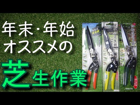 ステップバイステップ: 芝生を冬に保つ方法 トピックス