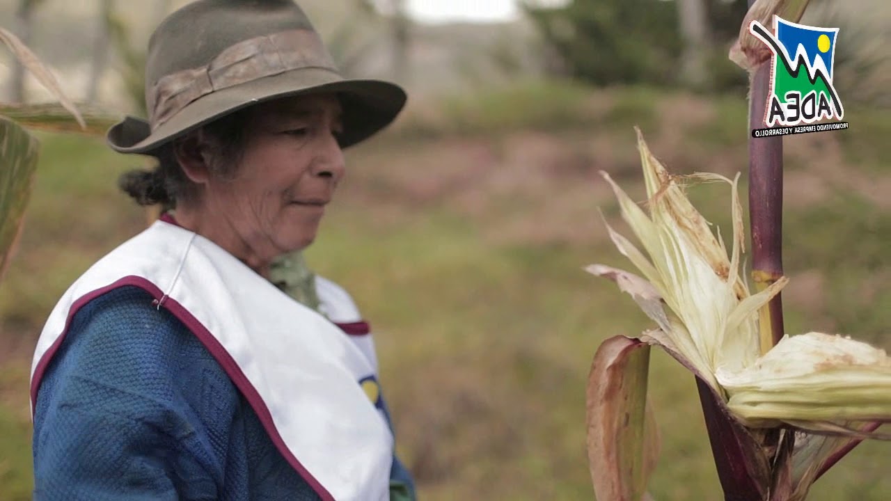 Historia de éxito ADEA