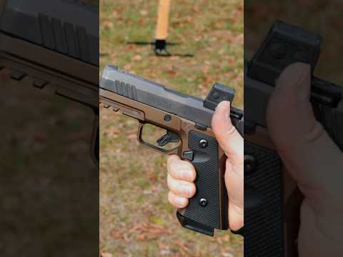 Taurus GX4 Carry- 2,000 round  update