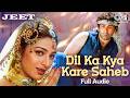 Dil Ka Kya Kare Sahib Hum Unhi Pe Marte Hain Jeet Sunny Deol Tabu Kavita Krishnamurthy 90s