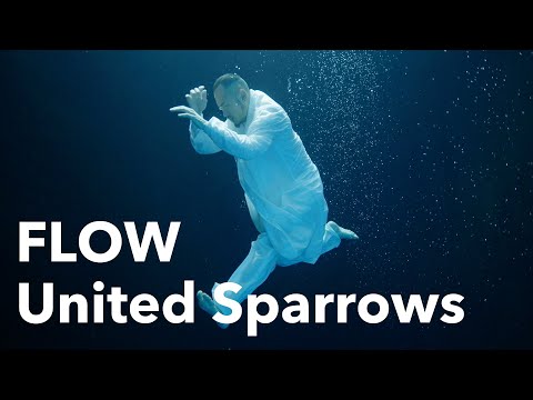 Video thumbnail for United Sparrows