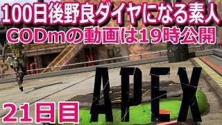 【APEX】プラチナ帯ガチで泣きそうな21日目。現在プラ4