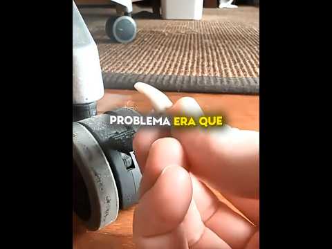 Qual cachorro você acha que perdeu o dente? 😭🐶